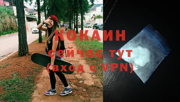 твердый Пестово