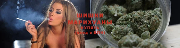 твердый Пестово