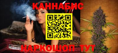 тгк Гай