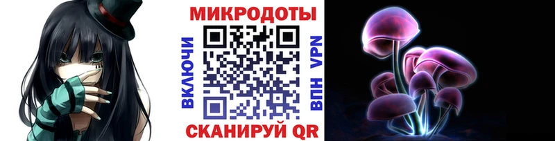 наркошоп Торжок hydra как войти Псилоцибиновые грибы мицелий